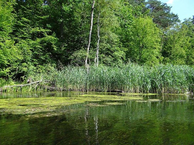 spływ kajakowy